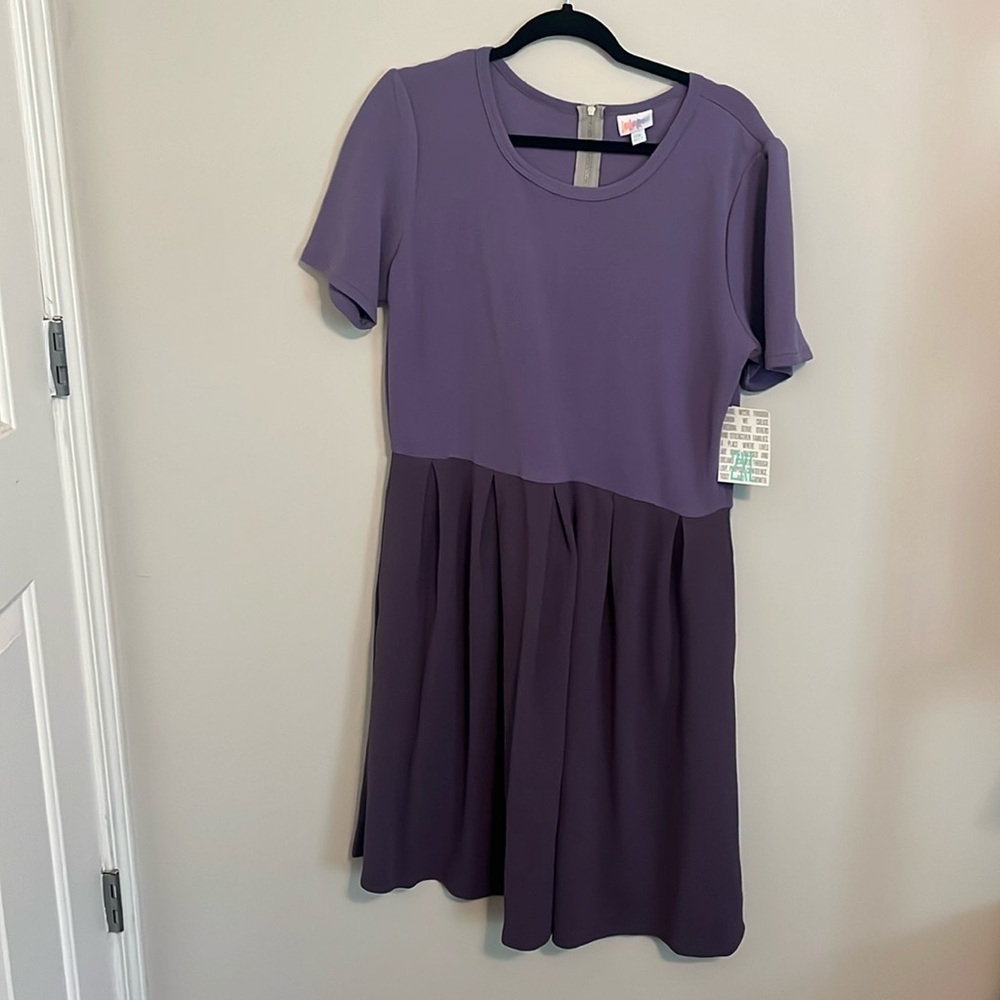 2XL Two Tone LuLaRoe Amelia Dress